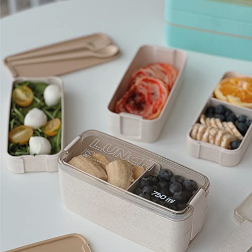 personalized food containers wholesale, Custom lunch boxes in bulk